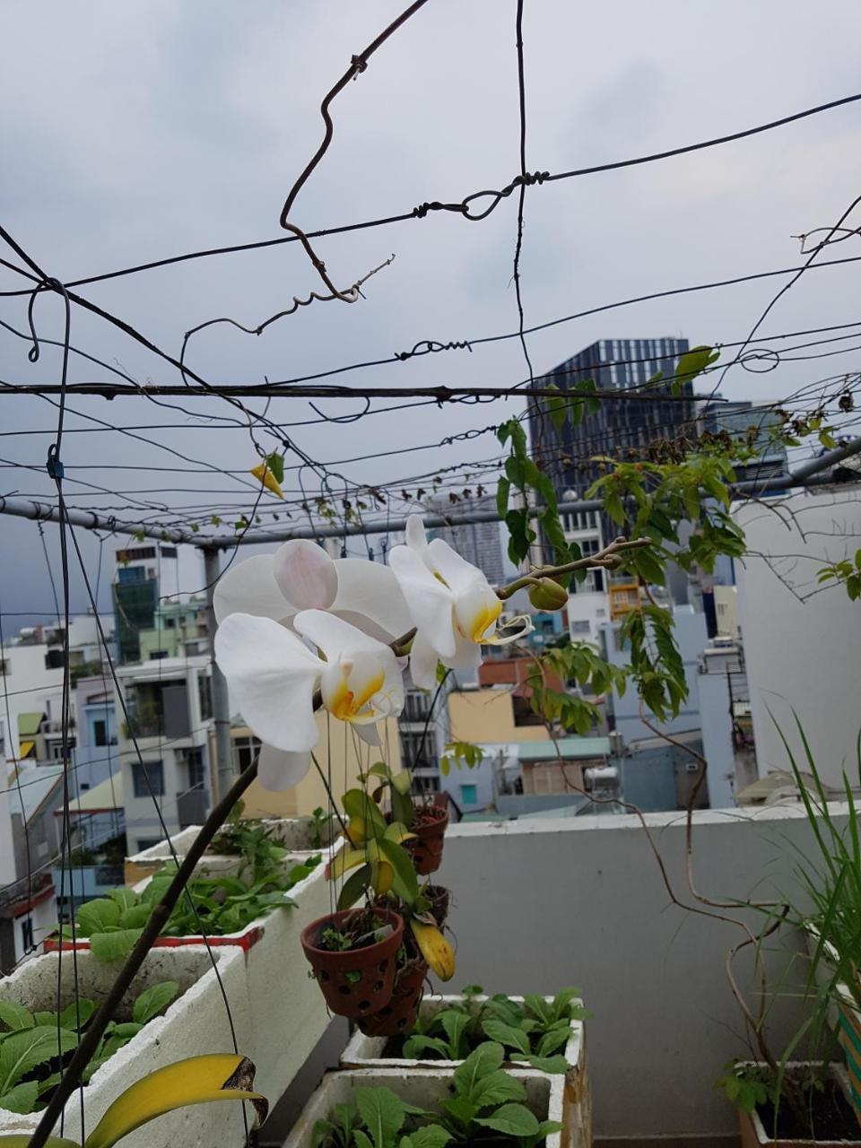 호치민 어반 하우스 사이공 2 아파트 외부 사진